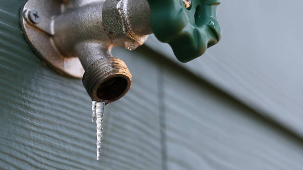 Best Clogged Drain Plumber  in Plano, TX